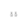 MAJORICA Silver Selene Earrings With 8Mm White Pearl And Zircons | Tu & Yo Earrings