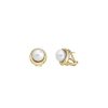 MAJORICA Margot Gold-Plated Earrings With An Embedded Round Pearl | Short Earrings