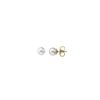 MAJORICA Gold Plated Cies With 5Mm White Pearl | Pearl Stud Earrings