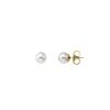 MAJORICA Earrings Lyra Gold Plated With 7Mm White Pearl | Pearl Stud Earrings