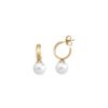 MAJORICA Hoop Earrings Chara Gold Plated With White Pearl | Pearl Hoop Earrings